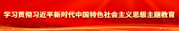 操逼网站看看学习贯彻习近平新时代中国特色社会主义思想主题教育